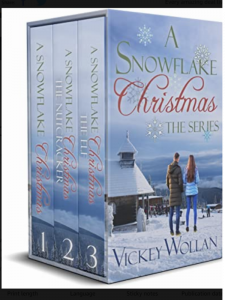 Snowflake Christmas Box Set by Vickie Wollan